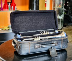 (image for) Blackburn Compact Double Trumpet Gig Bag